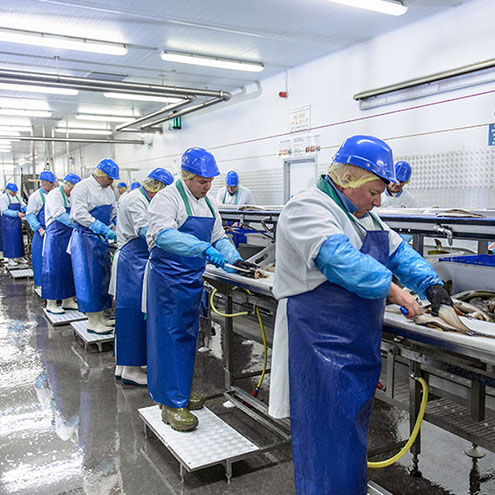 Valaisimet elintarvikkeiden jalostukseen