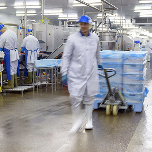 Valaisimet elintarvikkeiden jalostukseen