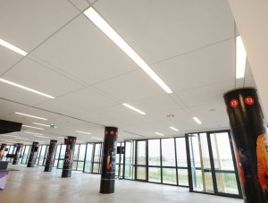 Luminaires For Special Types Of Ceiling Systems